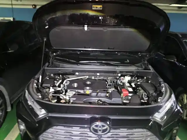 Toyota RAV4 Rongfang 2024 2.0L CVT FWD Style Plus Edition — фото 3