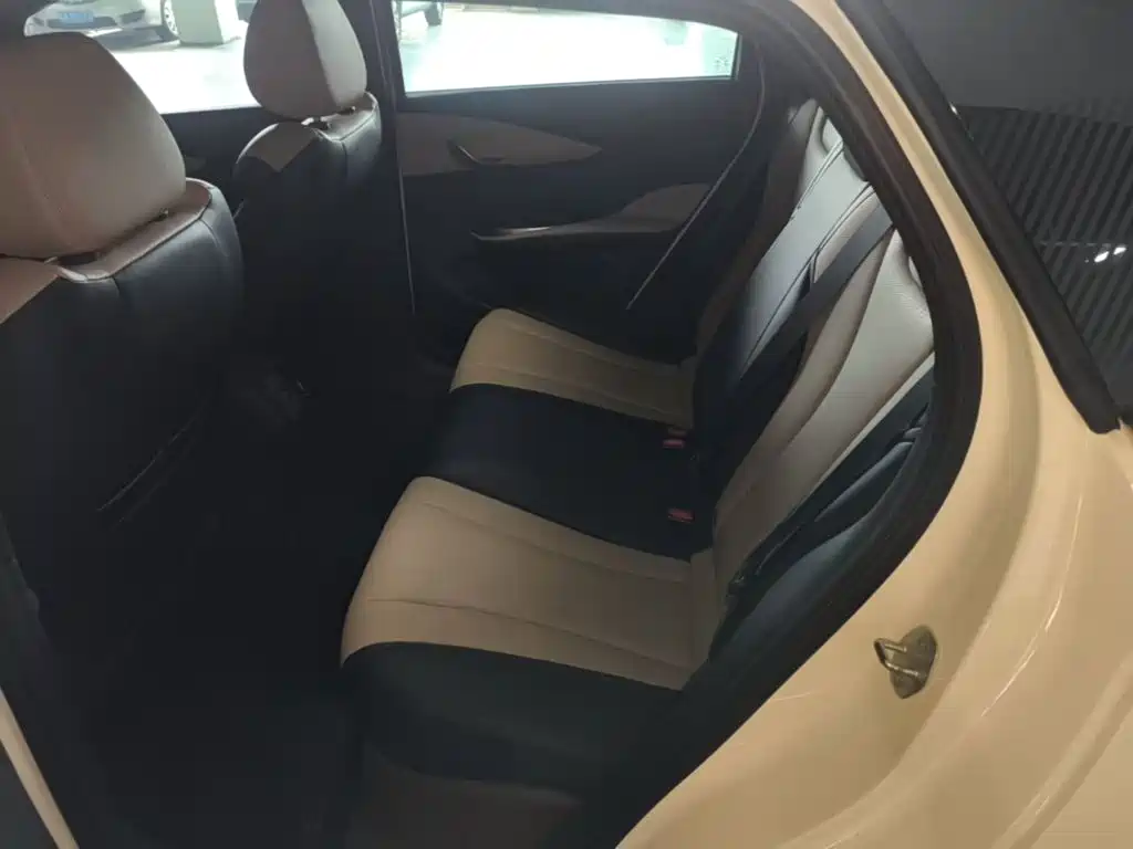 BYD Dolphin 2025 2025 Smart Drive Edition 420km Freedom Version