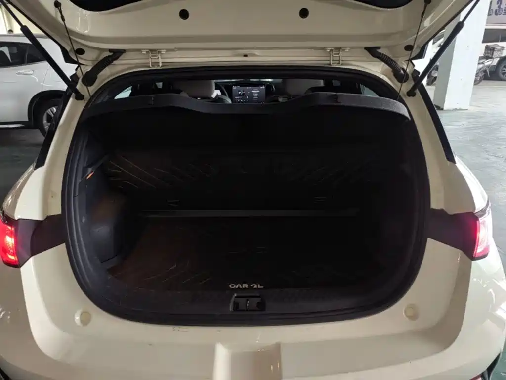 BYD Dolphin 2025 2025 Smart Drive Edition 420km Freedom Version