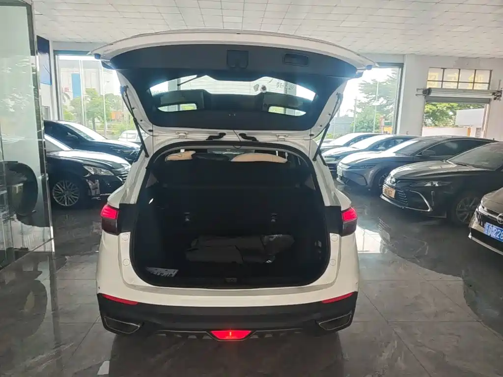 Geely Binyue 2019 2019 260T DCT Knight China V