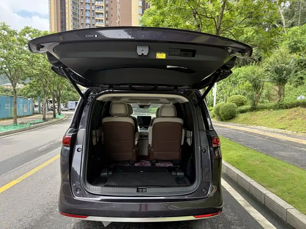 BYD Xia 2025 2025 DM-i 1.5T 100km Surpass Edition