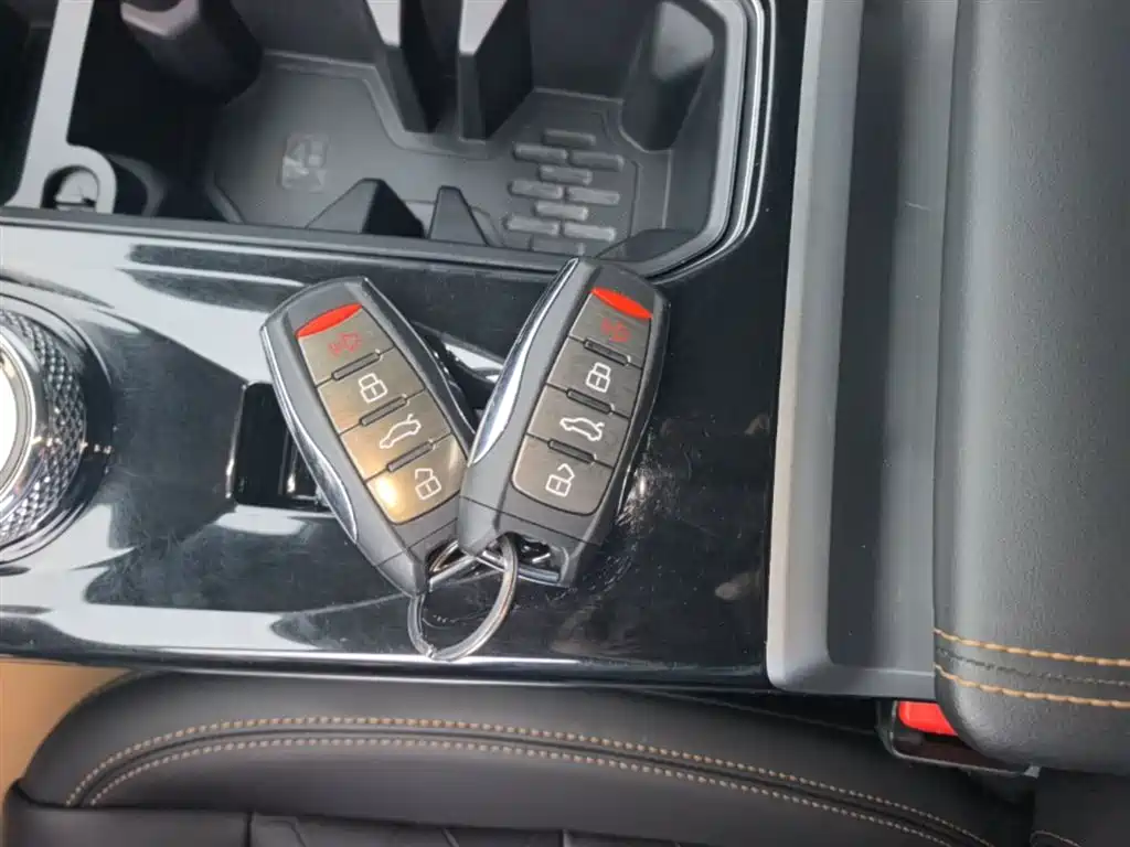 Haval Big Dog 2022 1.5T DCT FWD Border Collie Edition фото 9