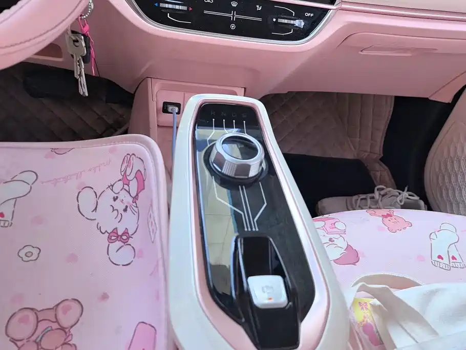 Changan Benben E-Star 2022 2022 Appreciation Edition Colorful LFP