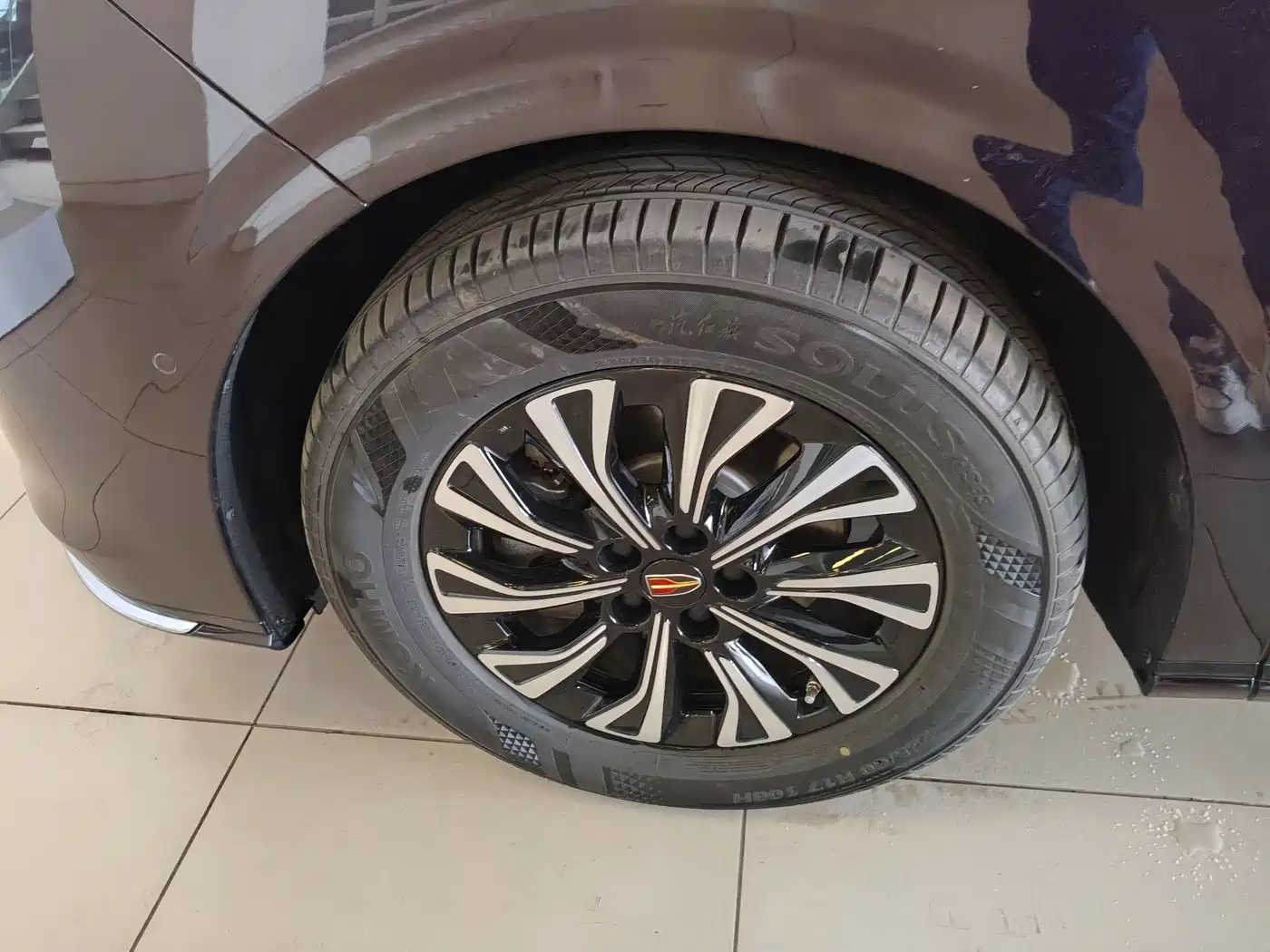 Hongqi HQ9 PHEV 2024 Model 2.0T AWD Luxury Edition фото 26