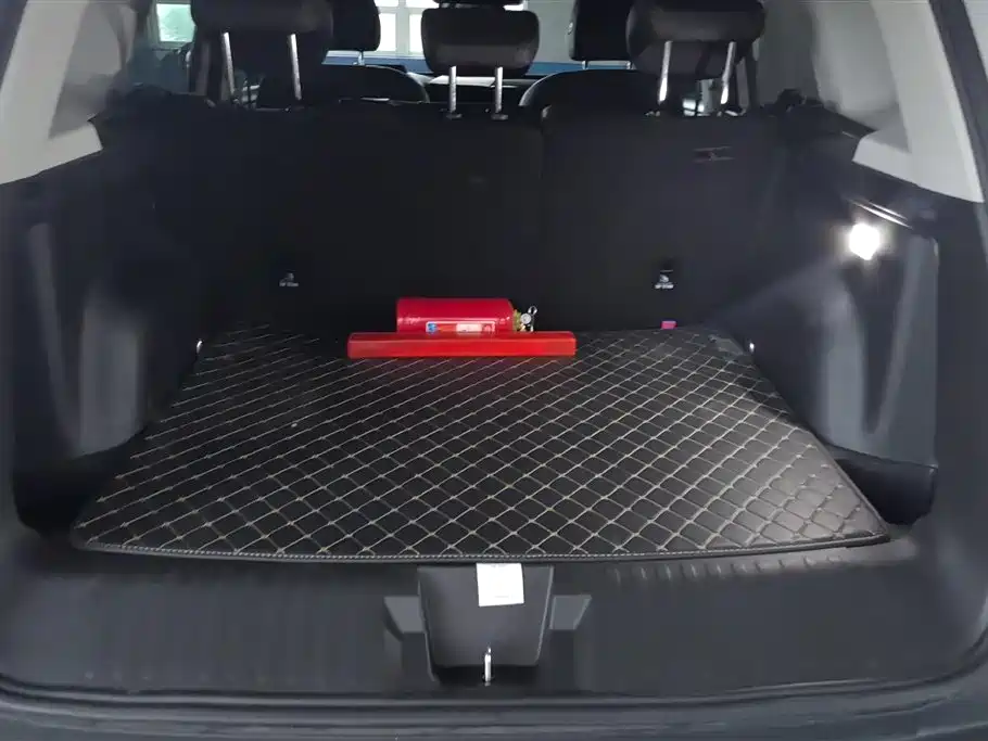 Haval Big Dog 2024 1.5T DCT Border Collie Edition фото 4