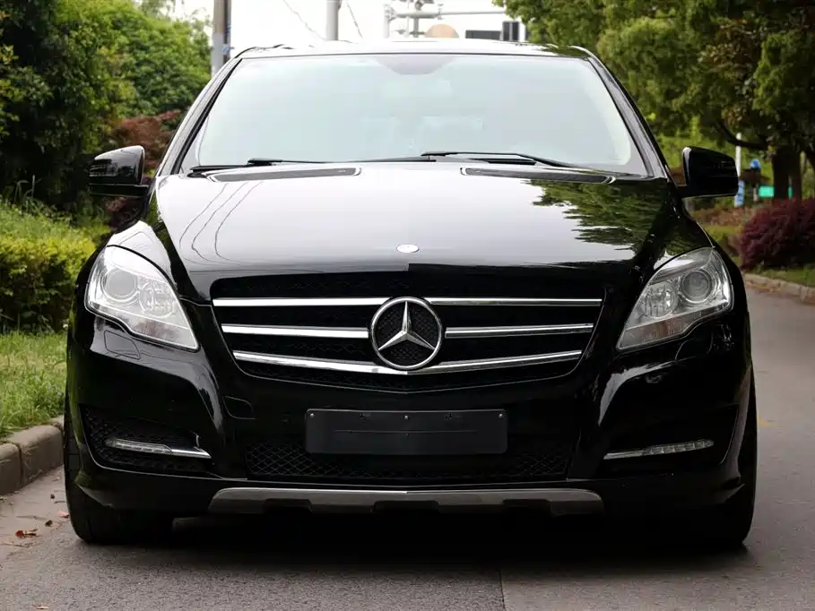 Mercedes-Benz R-Class 2015 R 320 4MATIC Luxury фото 2