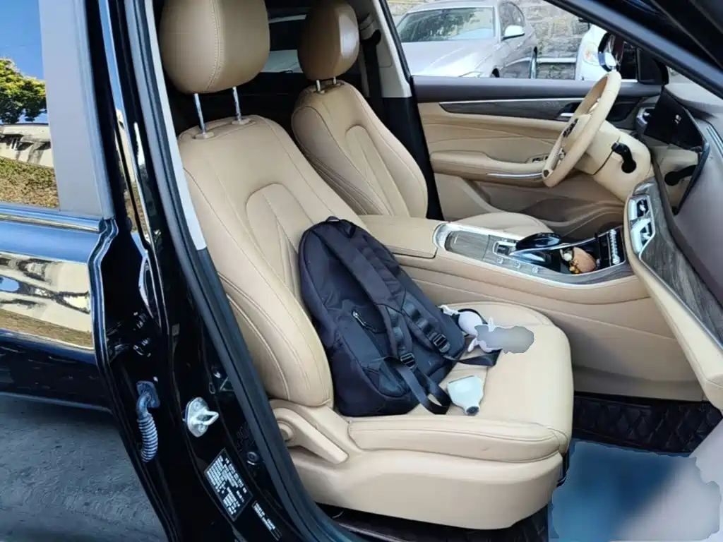 Landian E5 2024 2024 Glory Edition 100KM Ultimate Type 7-Seater