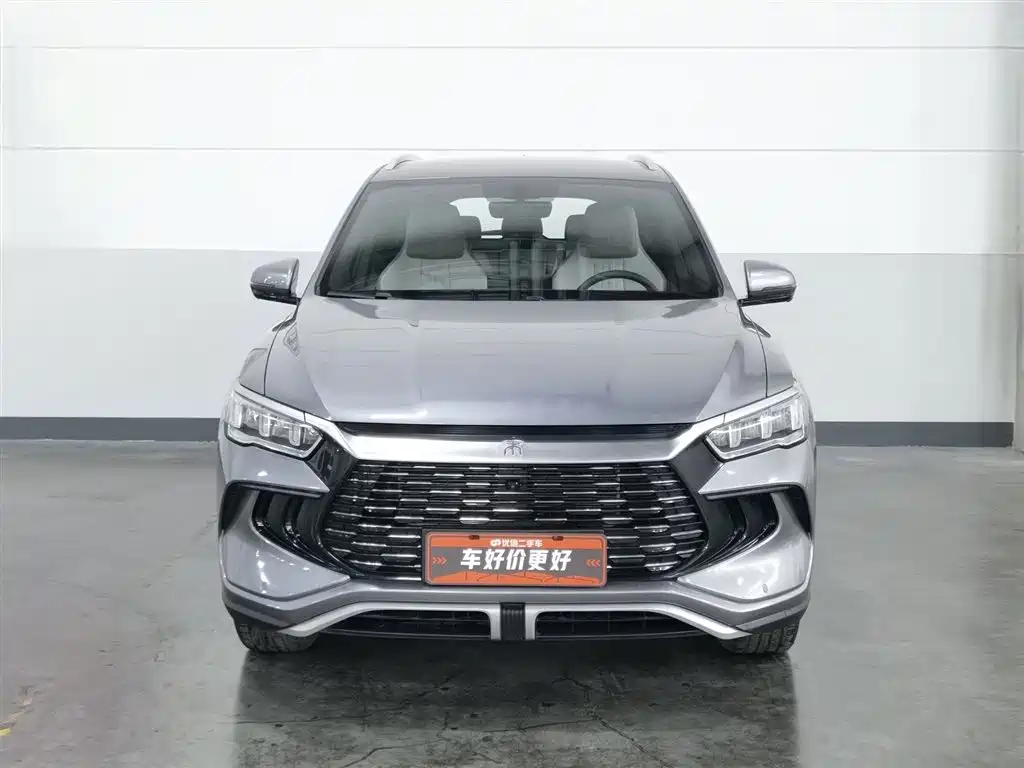 BYD Song Pro New Energy 2024 Glory Edition DM-i 71KM Pilot фото 3
