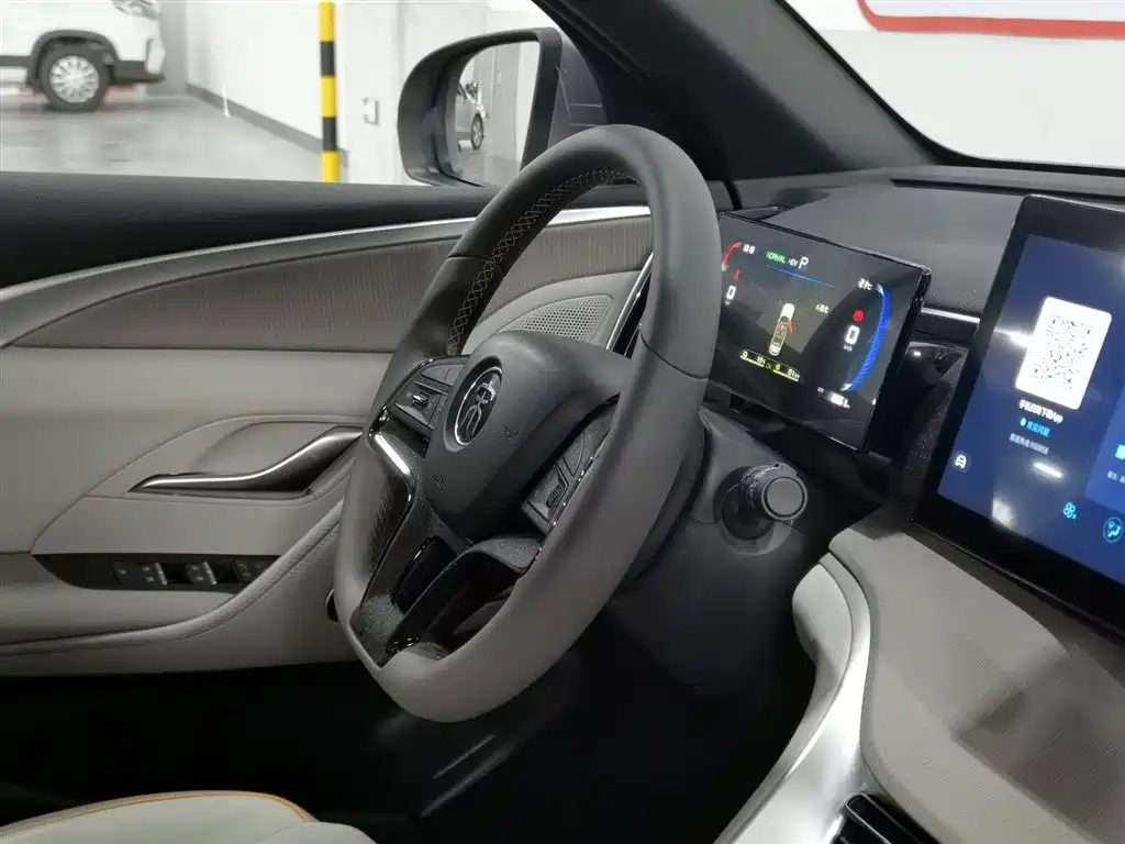 BYD Song Pro New Energy 2024 Glory Edition DM-i 71KM Pilot фото 22