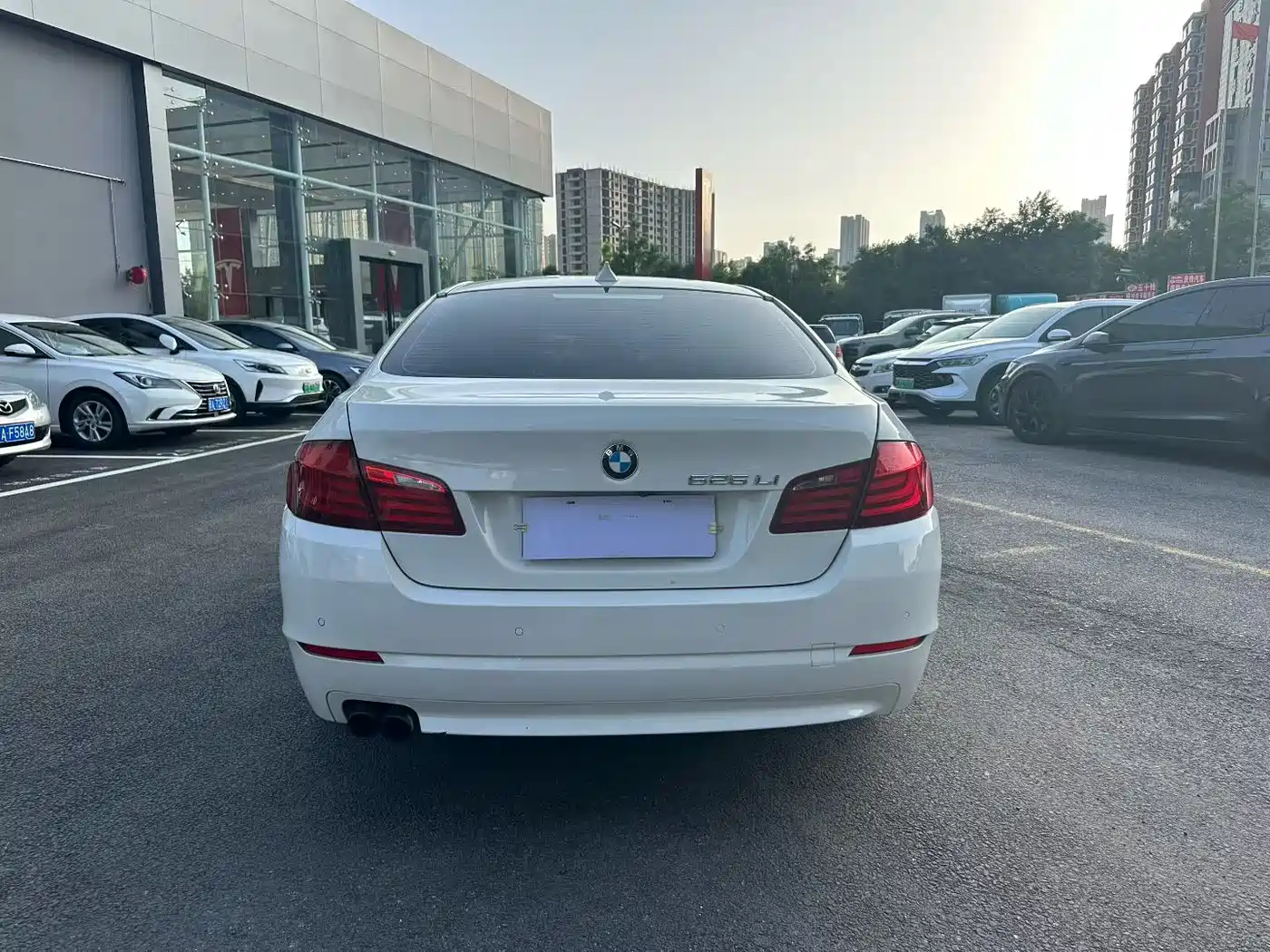 BMW 5 Series 2013 525Li Luxury фото 5