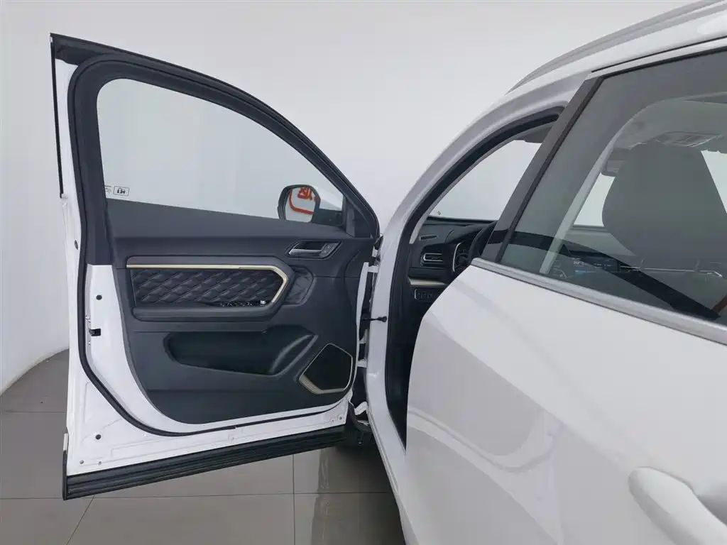 Haval H6 2021 1.5GDIT Automatic Champion Edition фото 8