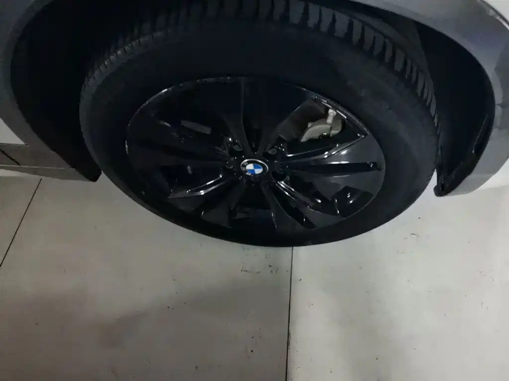 BMW X2 2021 sDrive25i Leading M Sport Package фото 14