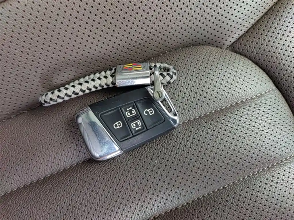 Volkswagen Viloran 2020 330TSI Luxury Edition фото 9