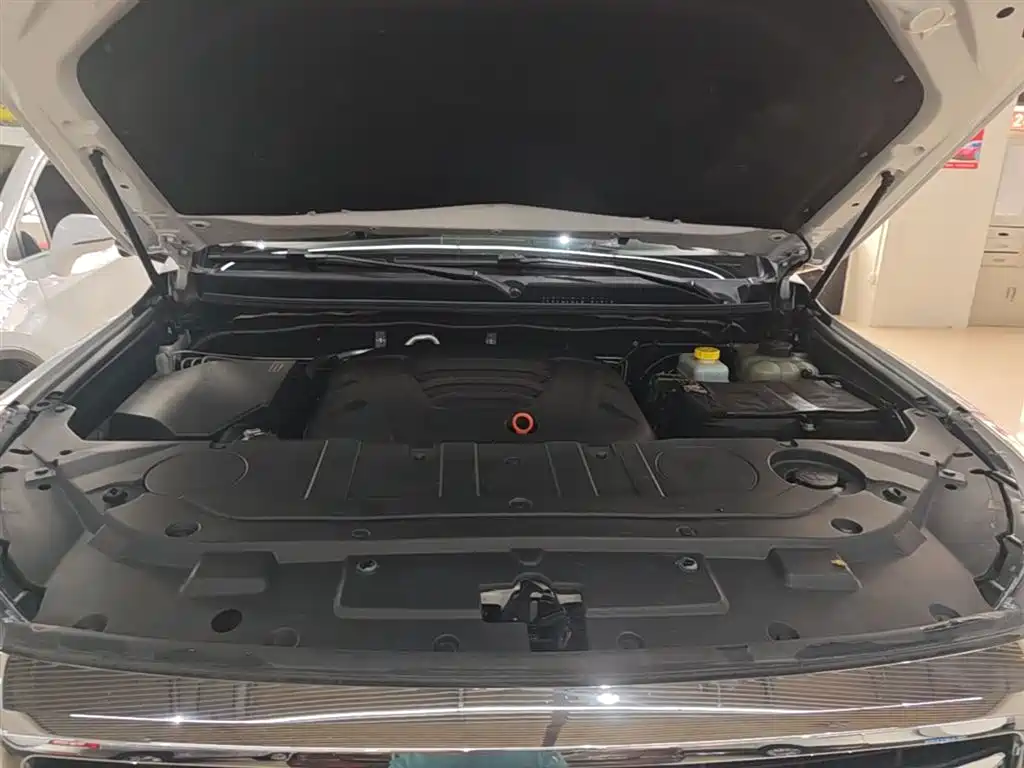 Haval H9 2020 2.0T Gasoline AWD Premium 7-Seater фото 20