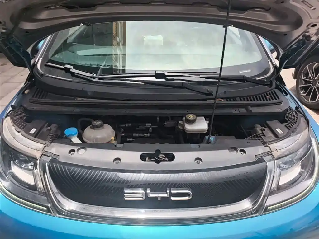 BYD Dolphin 2021 401km Knight Edition фото 20