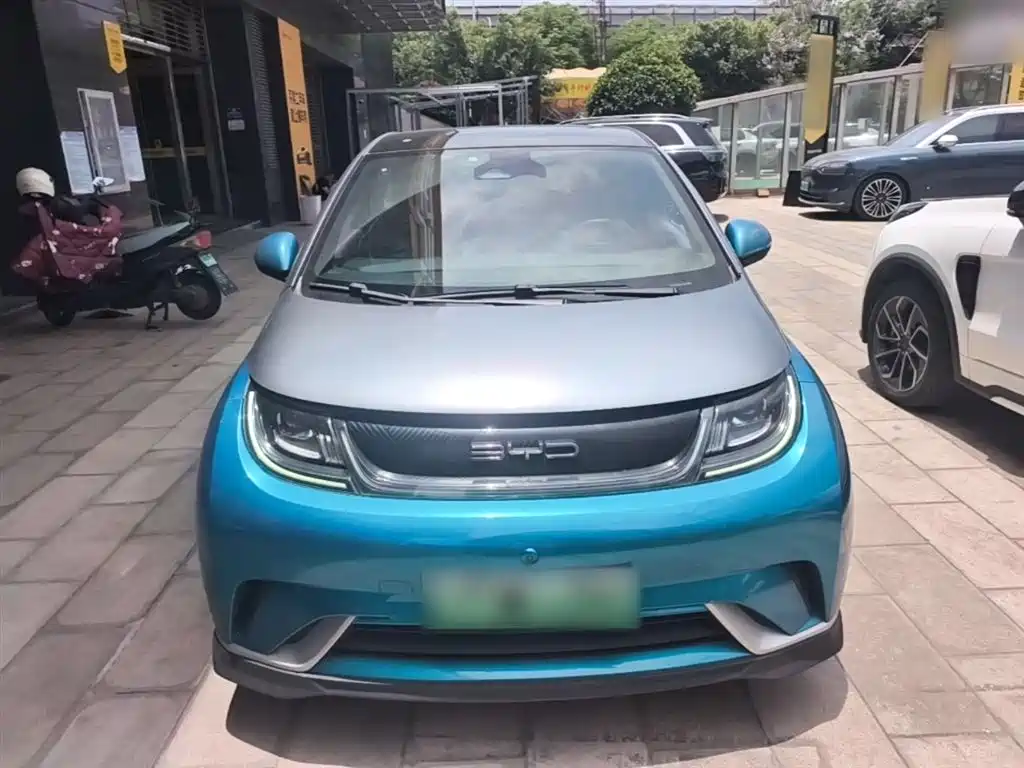 BYD Dolphin 2021 401km Knight Edition фото 3