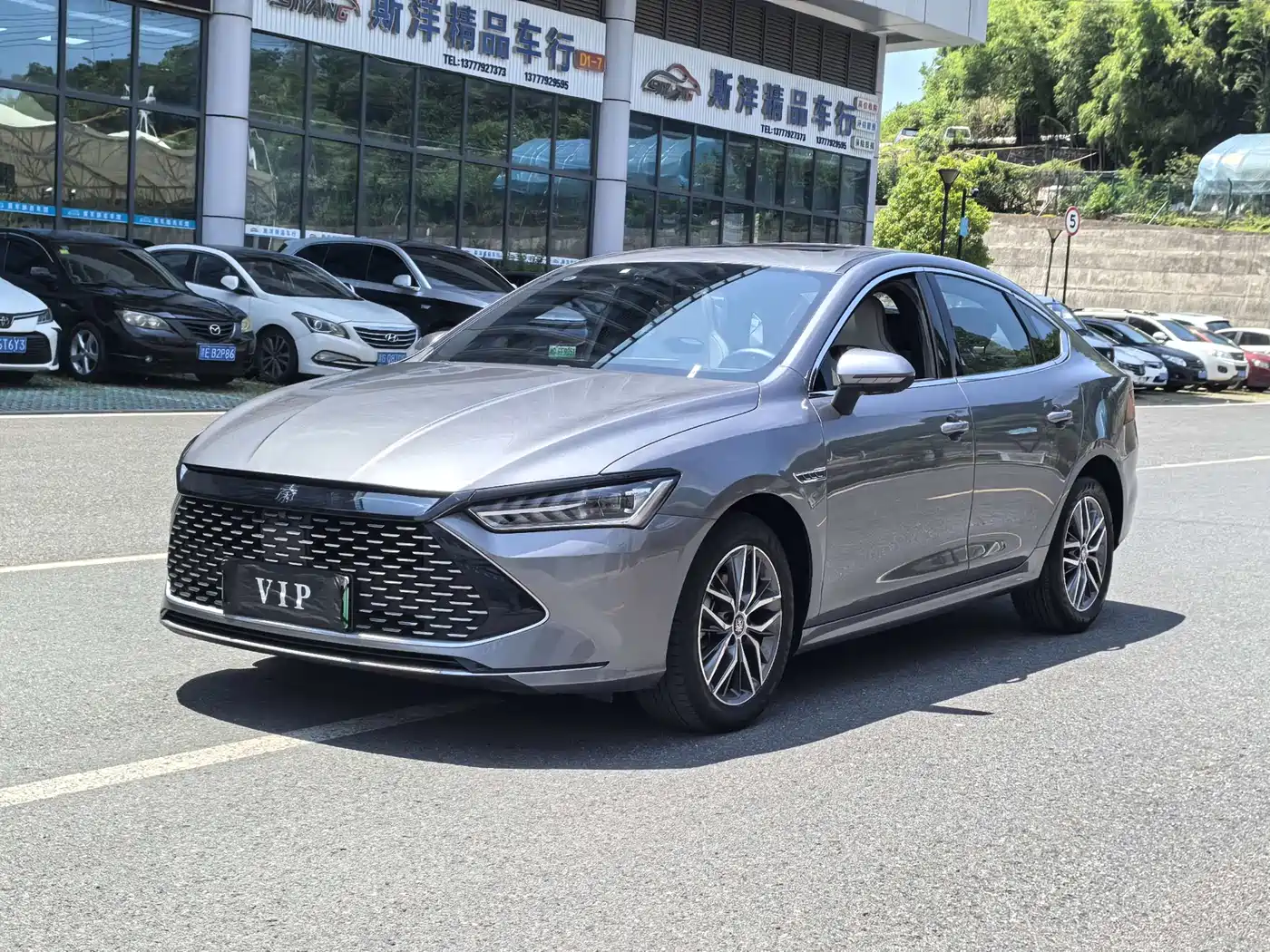 BYD Qin PLUS 2024 Glory Edition DM-i 55KM Surpass