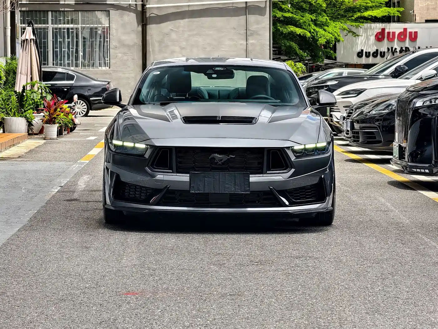 Ford Mustang 2024 5.0L V8 Dark Horse фото 2