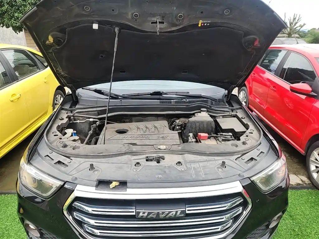 Haval H6 2018 Blue Label Sport 1.5T Automatic 2WD Elite фото 20