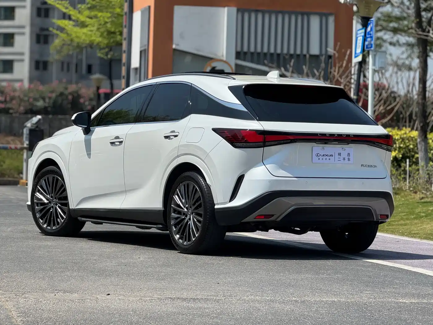 LEXUS RX