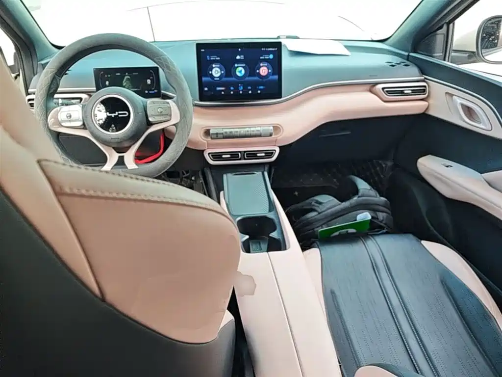BYD Seagull 2024 Glory Edition 305km Vitality Edition фото 10