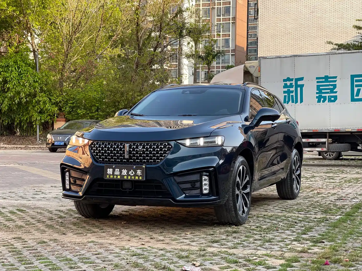 WEI PAI WEI BRAND VV7