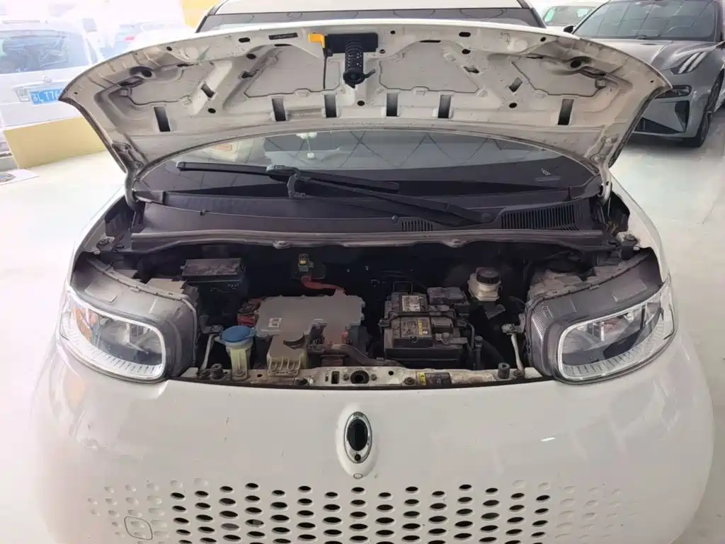 Ora White Cat 2021 2020 305km Luxury