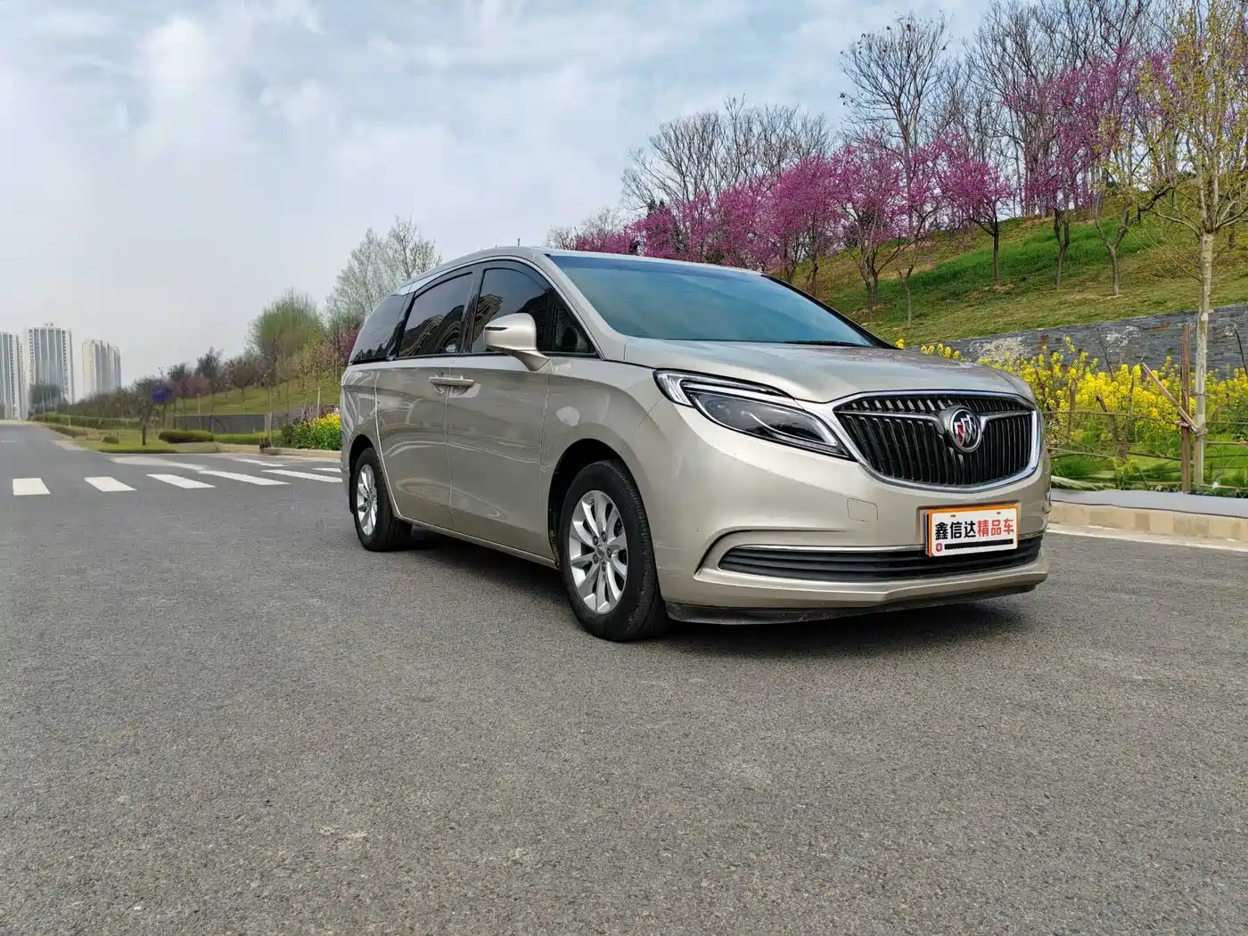 Buick GL8 2018 ES 28T Premium Type China VI фото 3