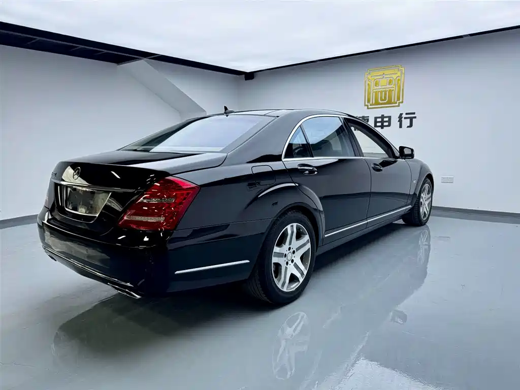 Mercedes-Benz S-Class 2010 S 600 L фото 5