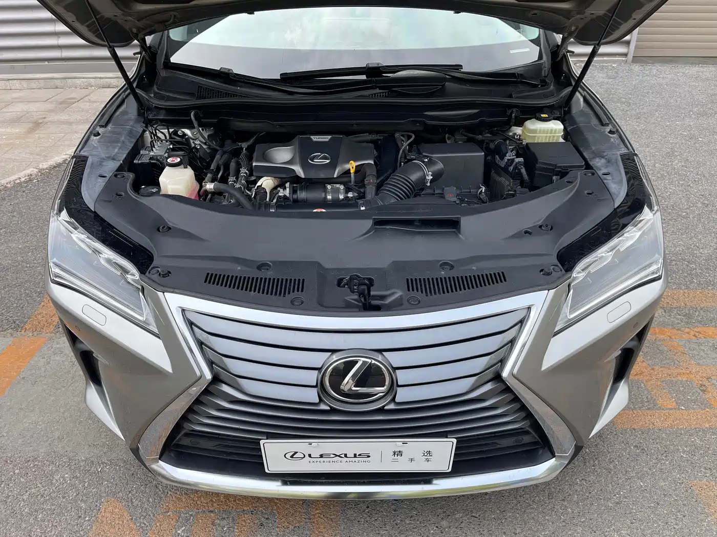 Lexus RX 2016 300 4WD Elegance Edition (China V) фото 20