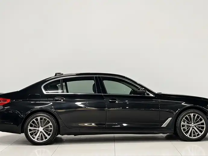 BMW 5 Series 2019 530Li Leading Luxury Package фото 3