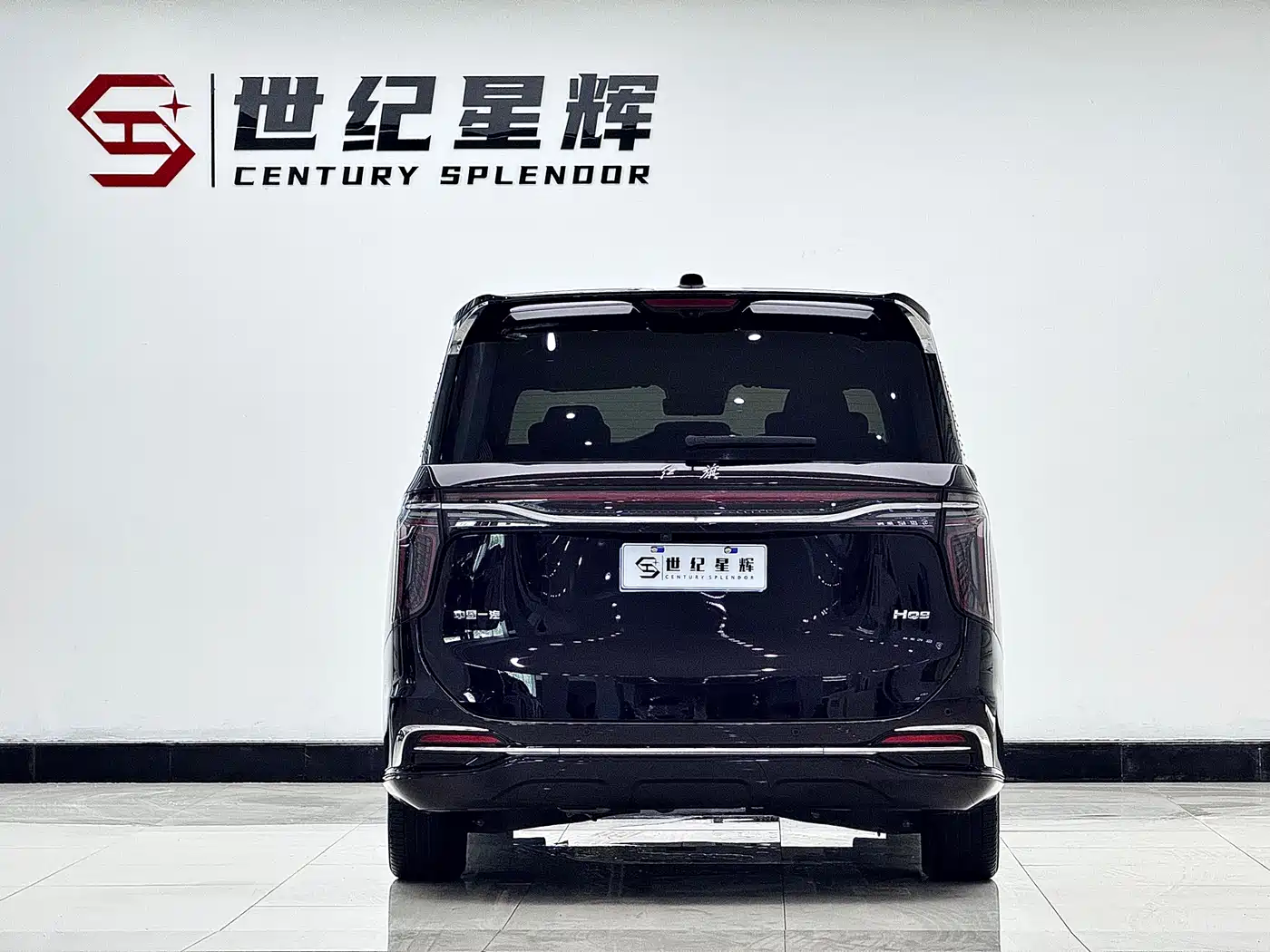 Hongqi HQ9 2023 2.0T Smart Connect Flagship фото 9