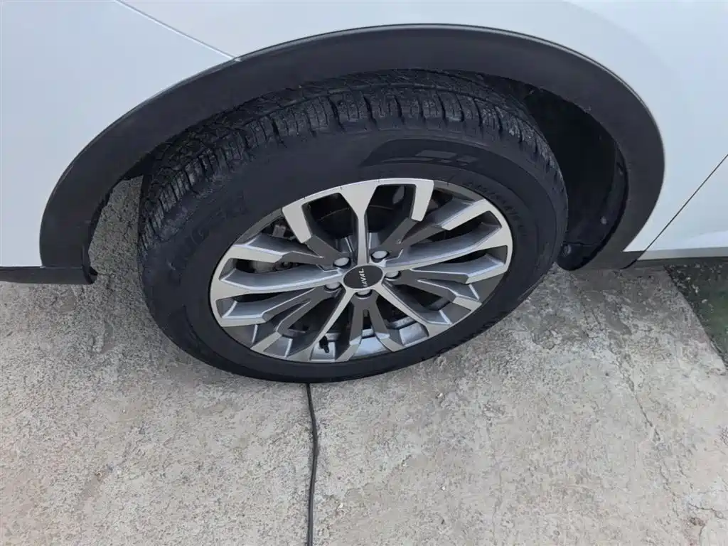 Haval H6 2020 1.5GDIT Automatic Platinum Champion Edition фото 23