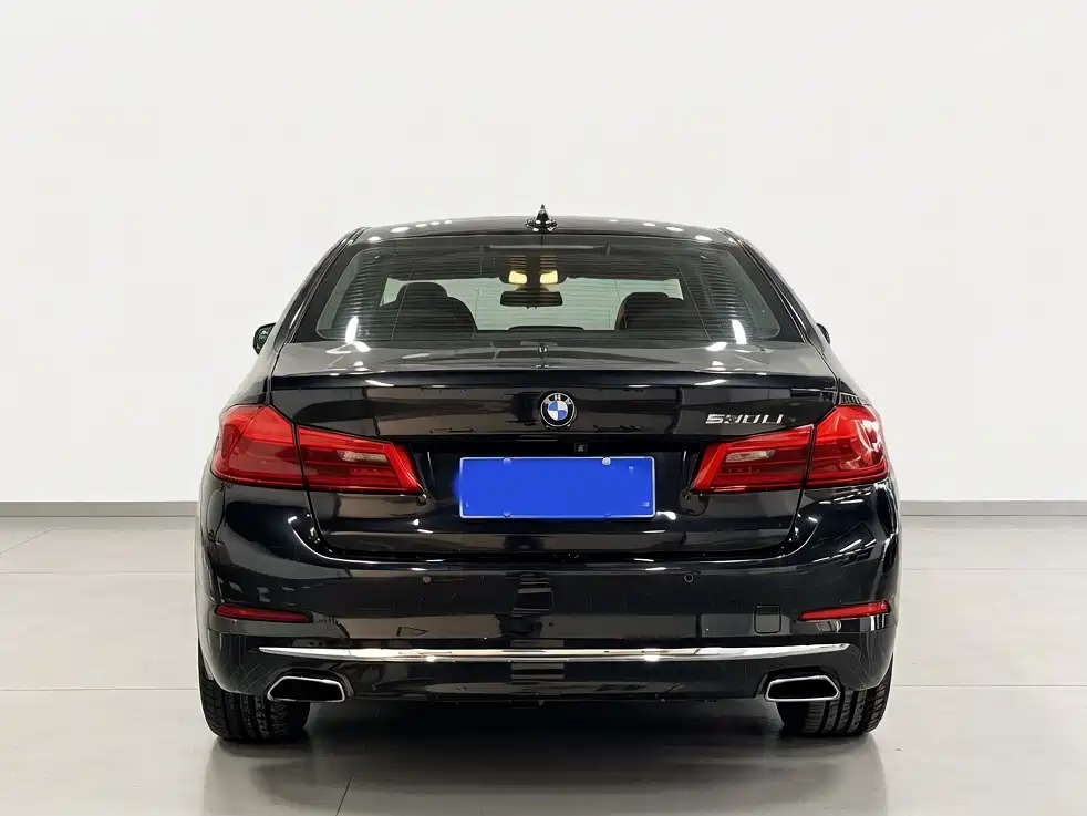 BMW 5 Series 2019 530Li Leading Luxury Package фото 4