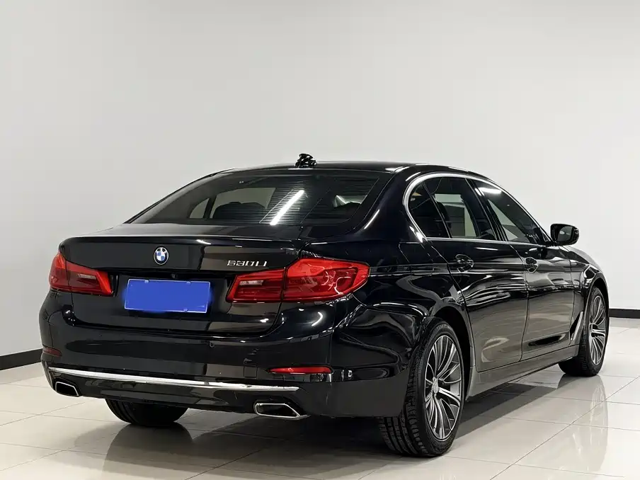 BMW 5 Series 2019 530Li Leading Luxury Package фото 5