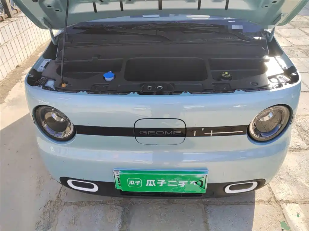Geely Galaxy Panda 2025 Panda mini 210km Vitality Bear фото 11