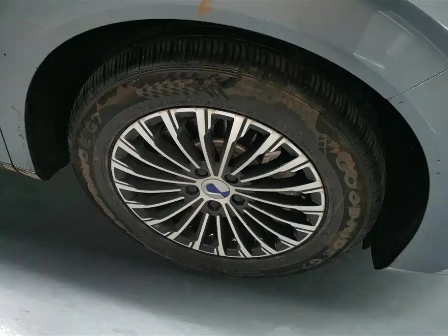 Denza D9 2022 DM-i 970 All-Wheel Drive Honor Edition фото 6