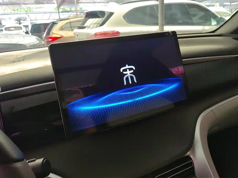 BYD Song Pro New Energy 2022 DM-i 51km Premium фото 13