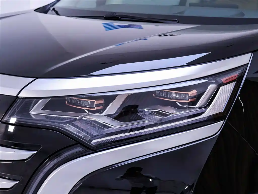 Denza D9 2024 DM-i 980 AWD Flagship фото 4