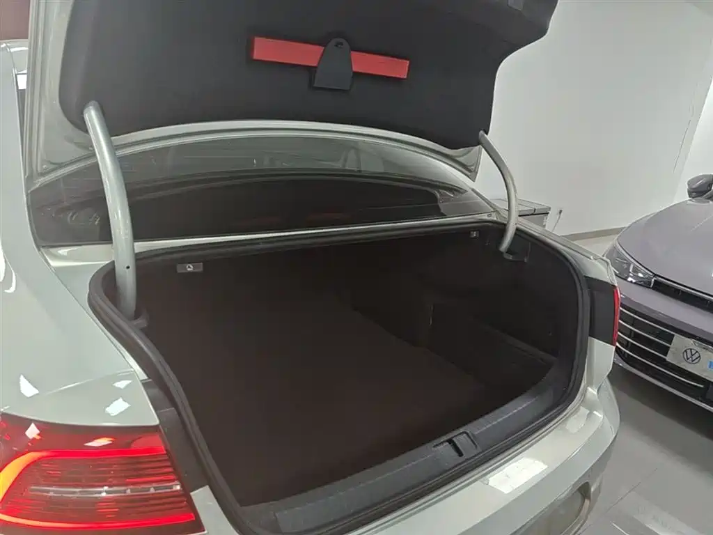 Volkswagen Magotan 2018 Facelift 330TSI DSG Luxury фото 19