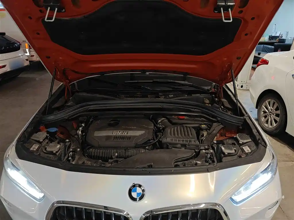 BMW X2 (Import) 2018 sDrive25i Leading M Off-road Package China V фото 20