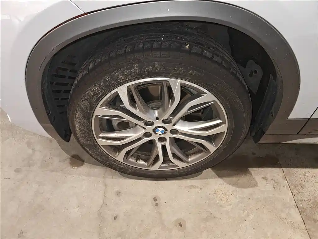 BMW X2 (Import) 2018 sDrive25i Leading M Off-road Package China V фото 23
