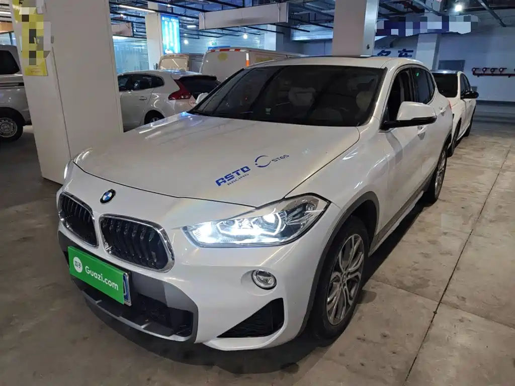 BMW X2 (Import) 2018 sDrive25i Leading M Off-road Package China V