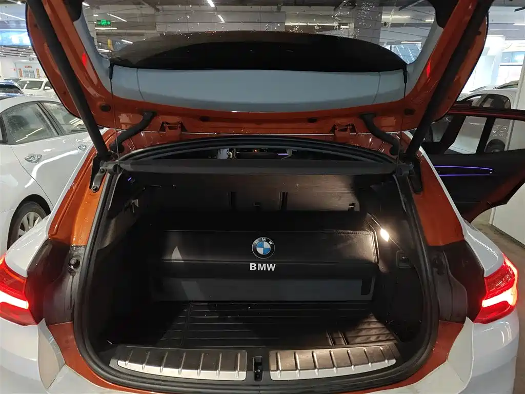 BMW X2 (Import) 2018 sDrive25i Leading M Off-road Package China V фото 19