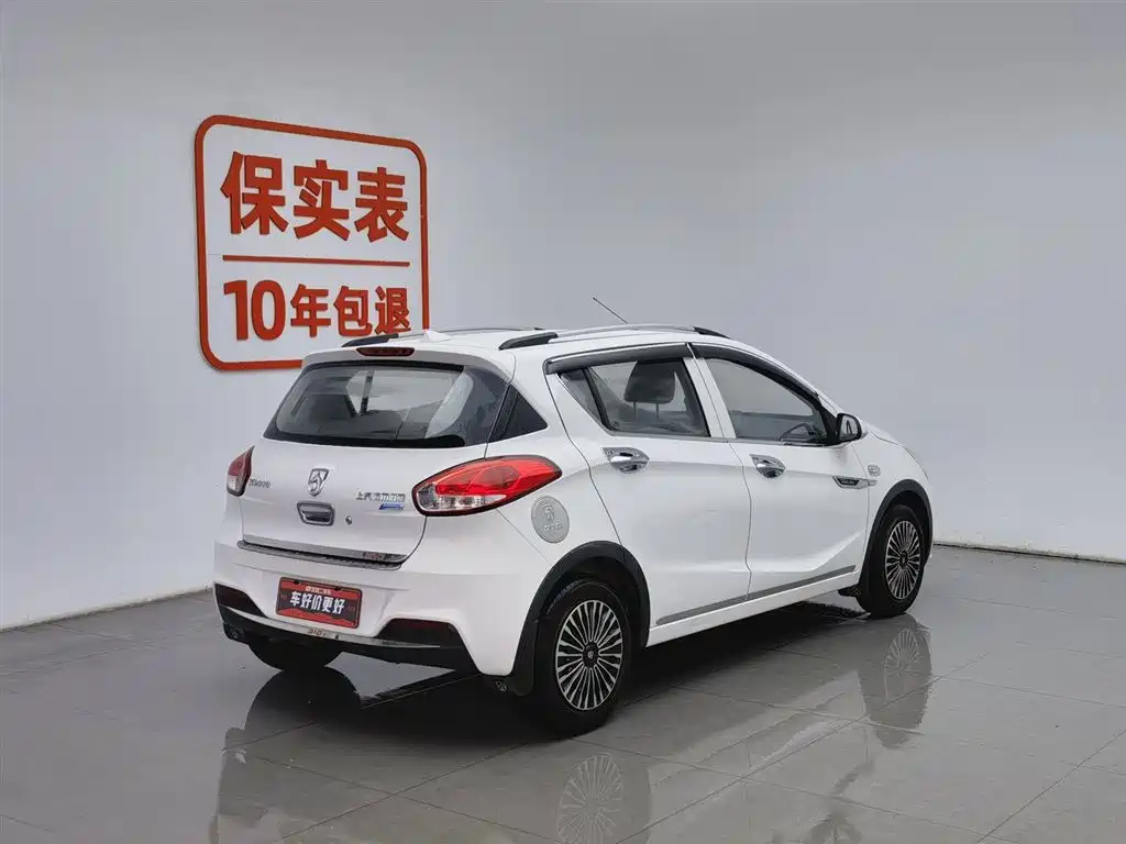 BAOJUN 310