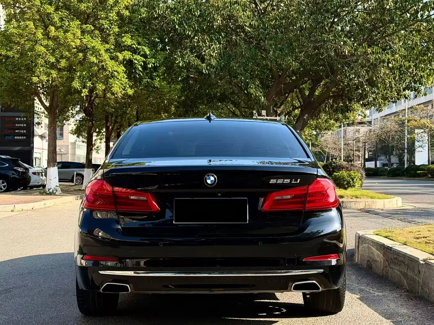 BMW 5 Series 2018 525Li Luxury Package фото 9