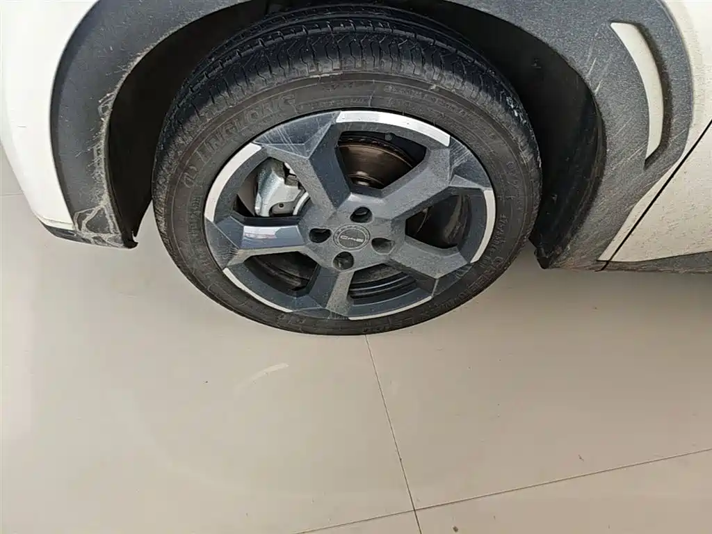 BYD Seagull 2023 Freedom Edition фото 25