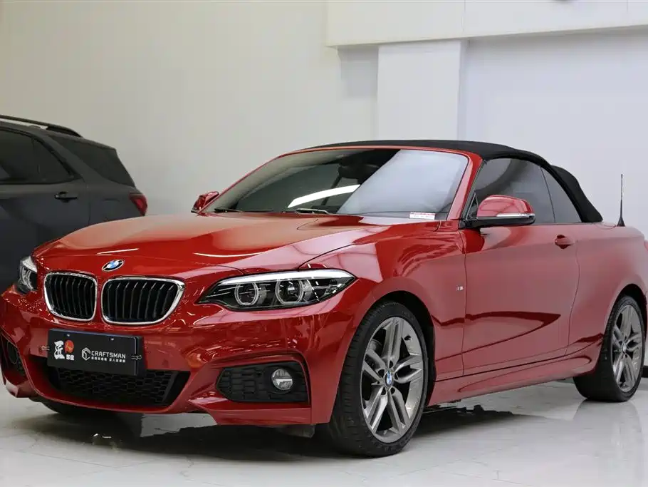 BMW 2 Series (Import) 2018 225i Convertible Coupe M Sport фото 23