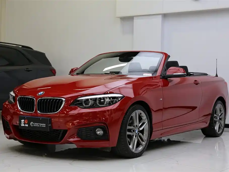 BMW 2 Series (Import) 2018 225i Convertible Coupe M Sport фото 24