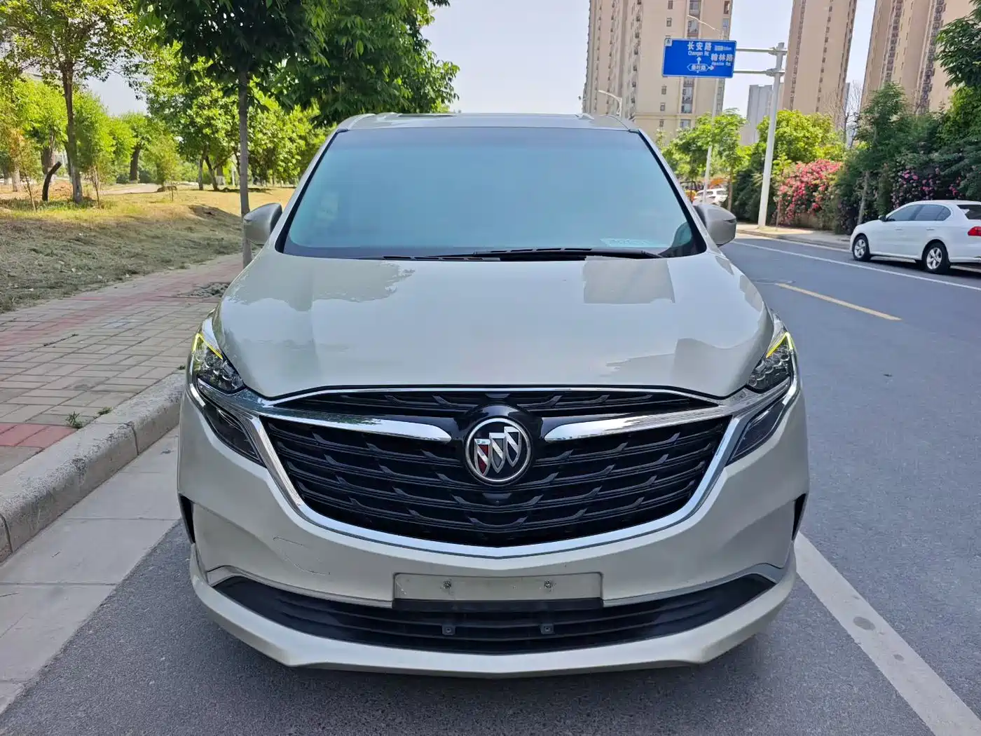 Buick GL8 2021 ES Landlord 653T Premium фото 2